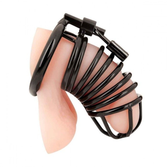 Черная металлическая клетка с замком Deluxe Chastity Cage Черная металлическая клетка с замком Deluxe Chastity Cage