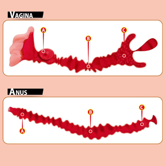 Мастурбатор-полуторс Adel с двумя любовными отверстиями Мастурбатор-полуторс Adel с двумя любовными отверстиями