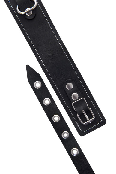 Кожаный двухслойный ошейник с белой строчкой и поводком Кожаный двухслойный ошейник с белой строчкой и поводком