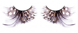 Коричнево-чёрные ресницы-перья