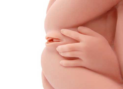 Реалистичный торс-девушка Hera 3 с тремя тугими отверстиями, вибрацией, ротацией и голосом Реалистичный торс-девушка Hera 3 с тремя тугими отверстиями, вибрацией, ротацией и голосом