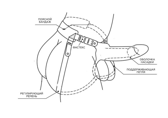 Телесный поясной парапротез - 17 см. Телесный поясной парапротез - 17 см.