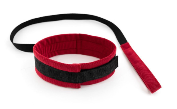 Красно-черный ошейник My rules с поводком Красно-черный ошейник My rules с поводком