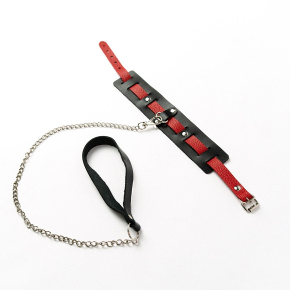 Черный ошейник с красным ремешком и поводком Черный ошейник с красным ремешком и поводком