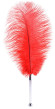 Красное страусиное пёрышко - 40 см. Красное страусиное пёрышко - 40 см.