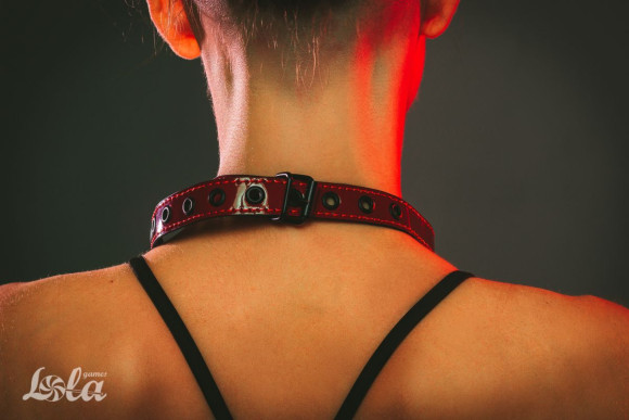 Черно-красный кляп-шарик Love Bite Черно-красный кляп-шарик Love Bite