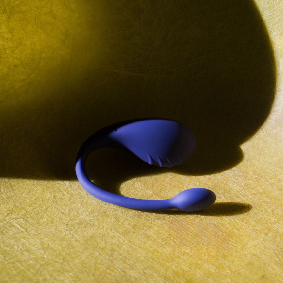 Синее виброяйцо Aurora Синее виброяйцо Aurora