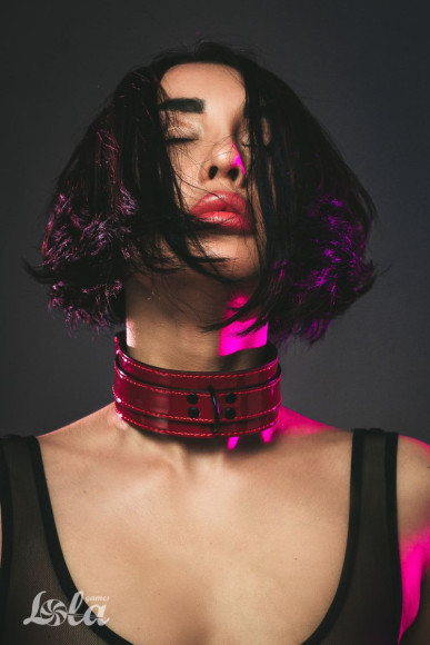 Бордовый ошейник Eccentric Бордовый ошейник Eccentric